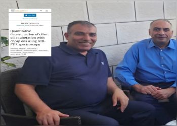 كشف غش زيت الزيتون