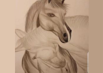 رسالة وفاء للأرض